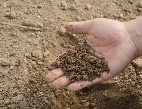 Klein Soil Testing Services WI